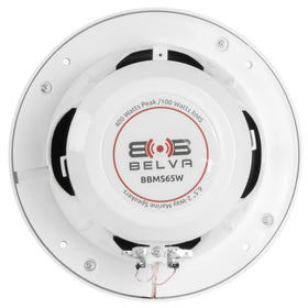 BELVA BBMS65W IP66-rated protection against water and dust
