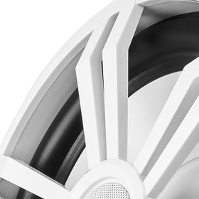 BELVA LED ring lit displaying multi-color lighting for visual appeal