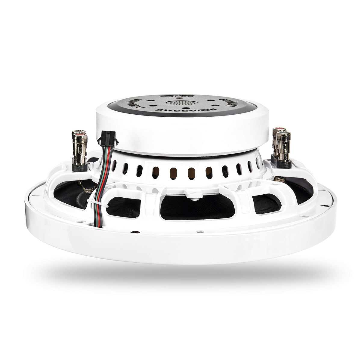 BELVA BMSS10RW butyl rubber surround detail, shows durability and excursion control