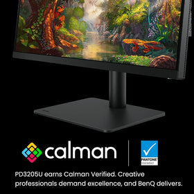 BenQ PD3205U AQCOLOR technology delivers true-to-life tones.