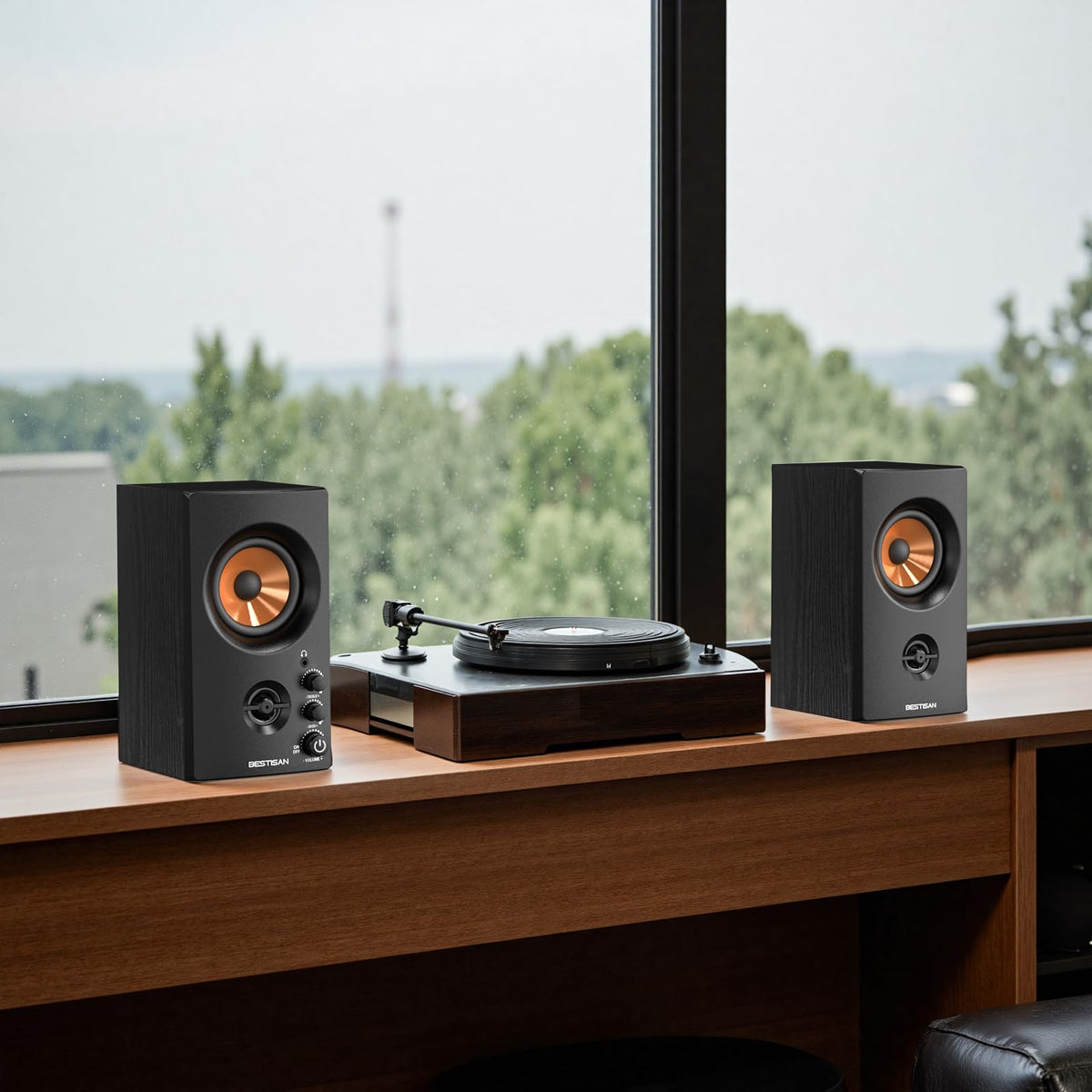 Bestisan 50W Bluetooth home speaker in a living room setup