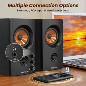 Bestisan active bookshelf speaker back ports for easy connections