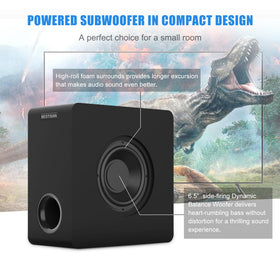 BESTISAN SW65D bottom-port cabinet enhances room-filling low end with clear output.