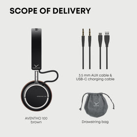 Beyerdynamic AVENTHO 100 brown travel case protects on the go
