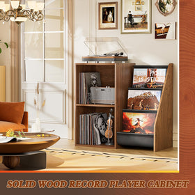 Bikoney record-storage-220-lp-shelves demonstrates organized vinyl capacity