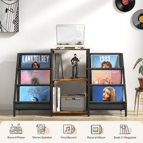 Bikoney vinyl storage holds up to 280 albums for growing collections.
