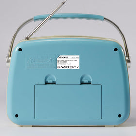 Bingxue placed on picnic blanket, portable radio enhancing outdoor gatherings