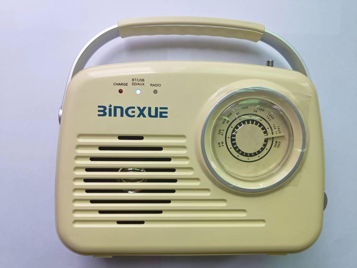 Compact Bingxue radio designed for camping and outdoor listening.