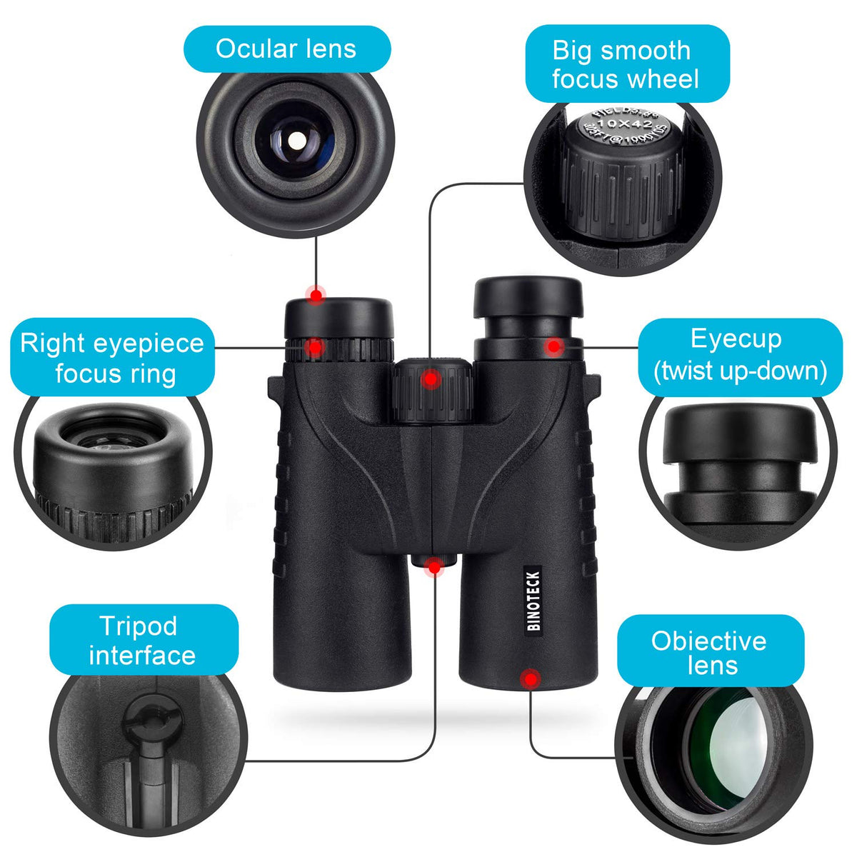Binoteck used during birdwatching revealing distant-detail clarity