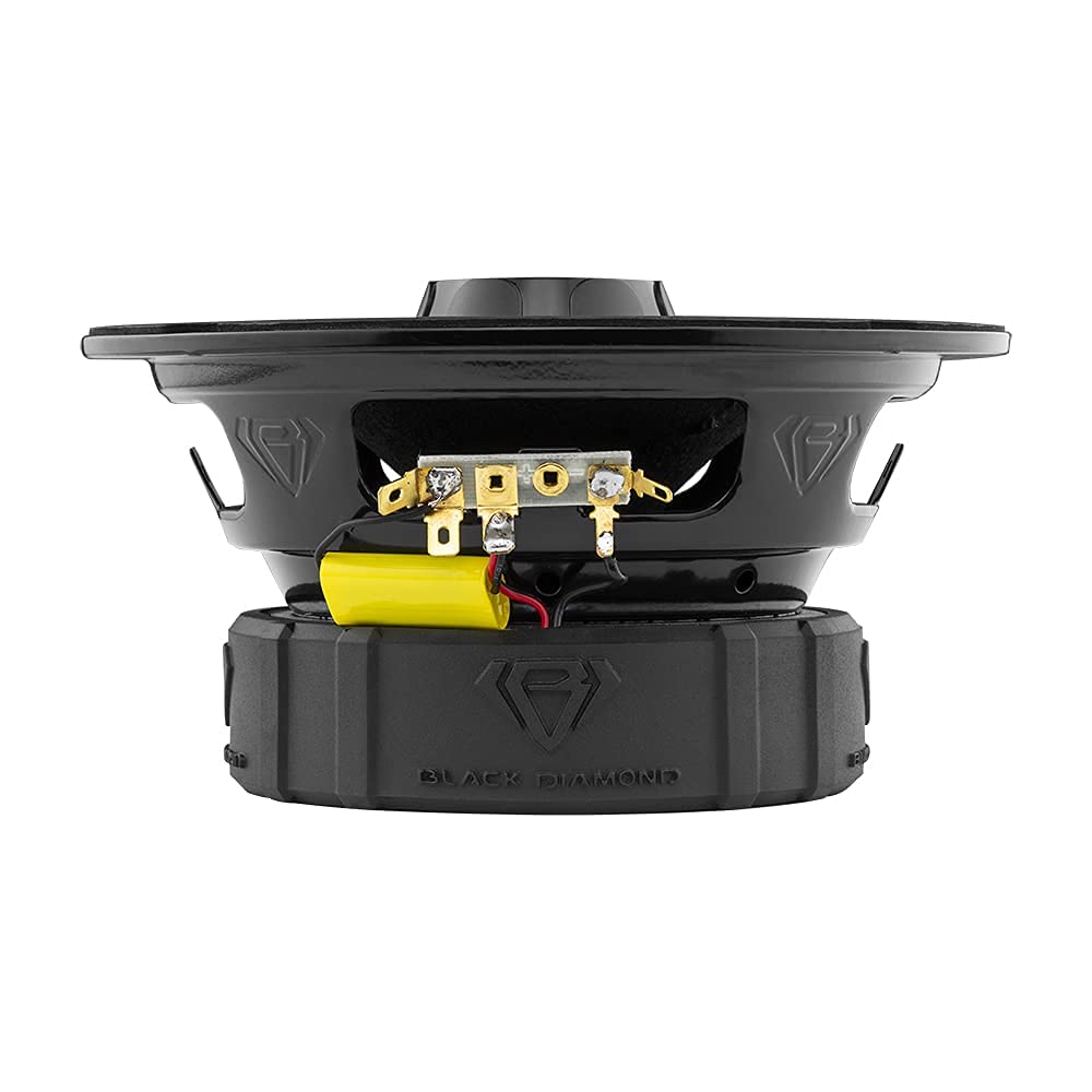 BLACK DIAMOND Dia-XT6 in-use shot delivering powerful sound in a live setting