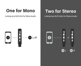 blafili XLR next to a phone for scale to show its portable compact size