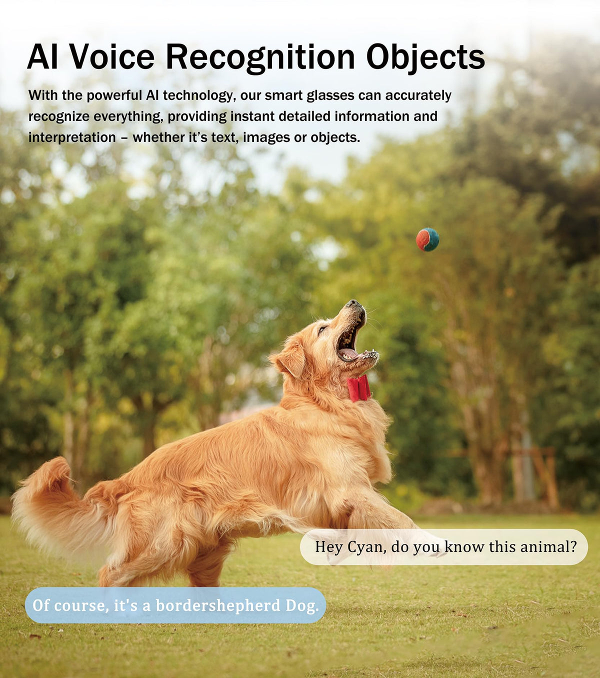 BlessSource AI smart glasses live translation via app for quick language support.