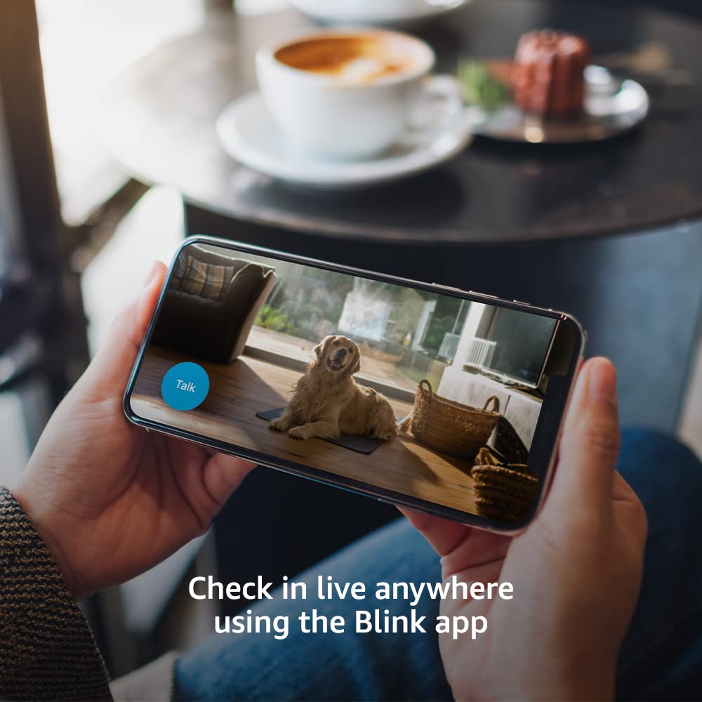 Blink Mini placed on a living room shelf streaming live view to smartphone for instant alerts