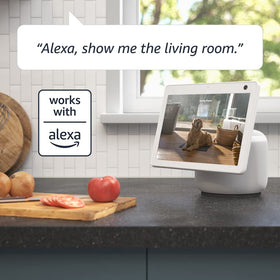 Blink Mini Pan-Tilt Mount easy installation with plug-in power for quick setup.