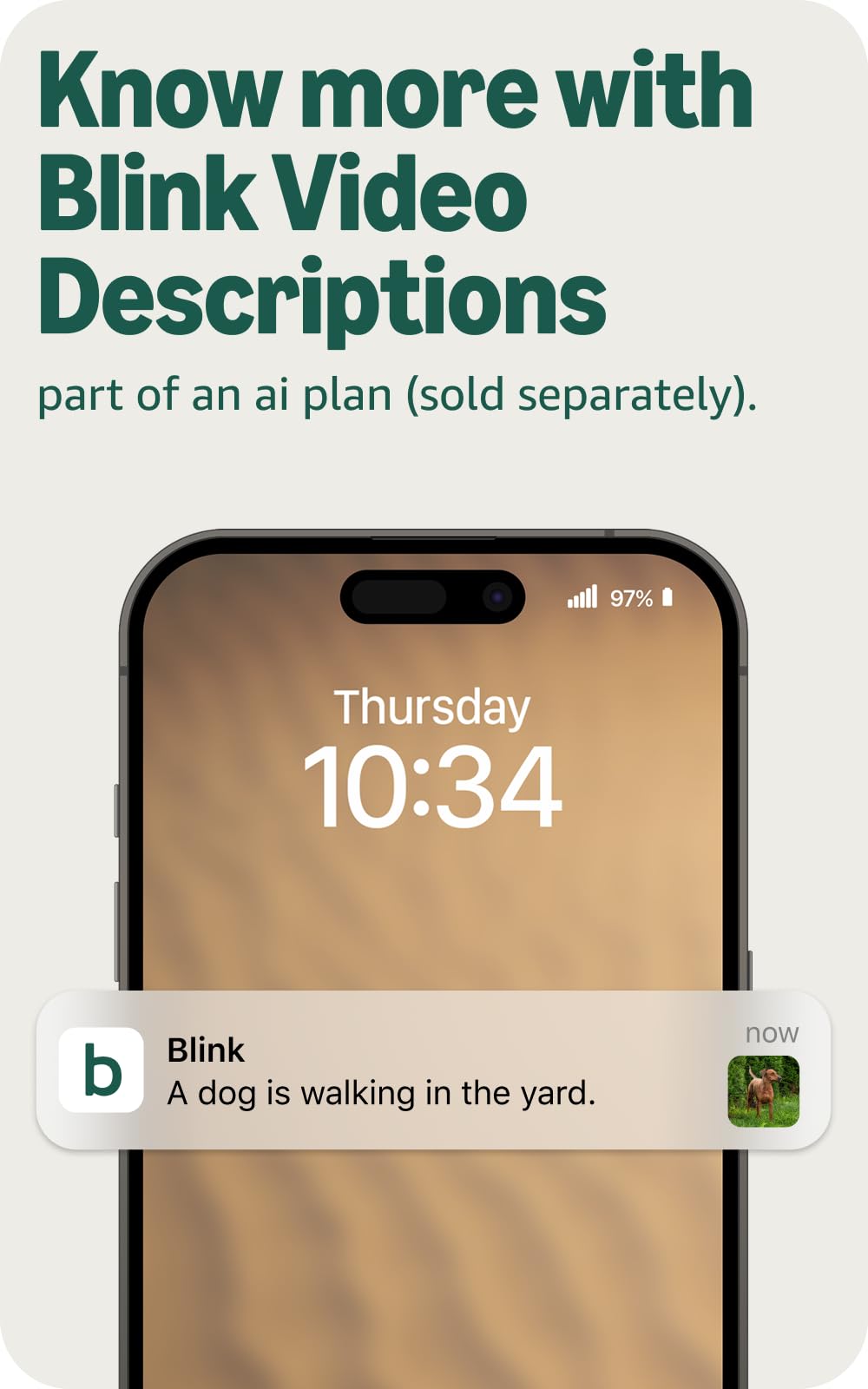 Blink Outdoor 2K+ camera zoomed to 4x for detailed verification