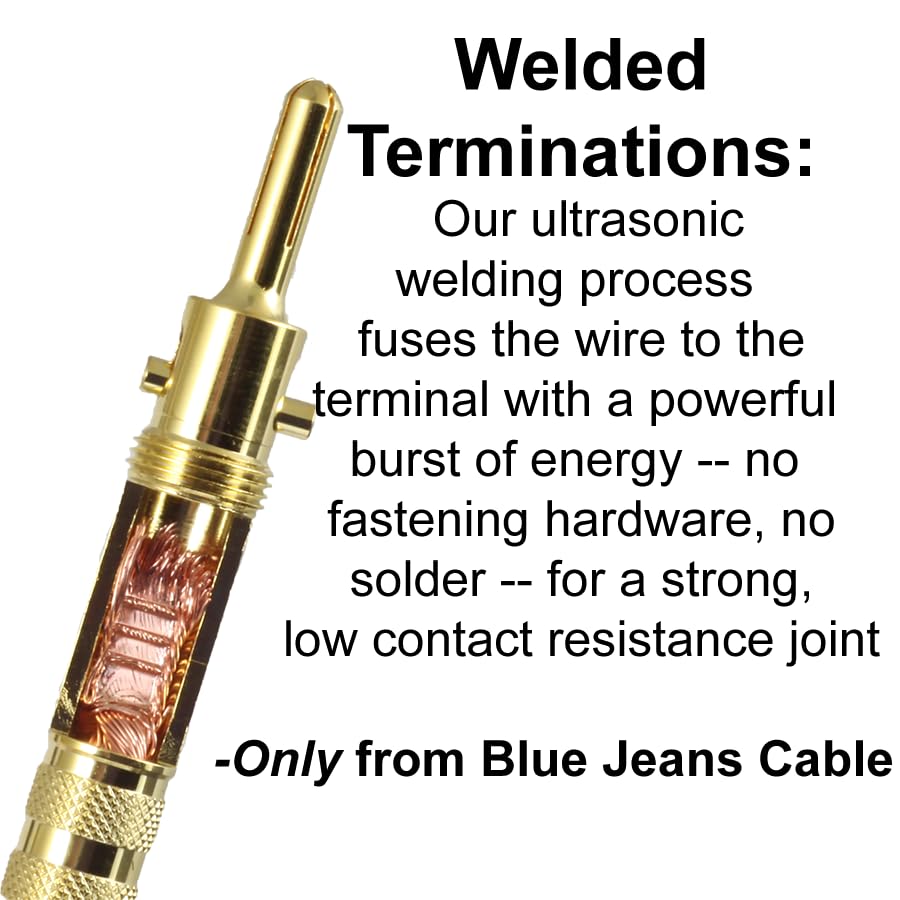 Blue Jeans Cable Canare 4S11 banana terminals close-up shows secure binding post connections