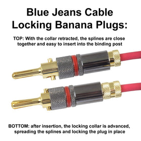 Blue Jeans Cable Canare 4S11 ultrasonically welded joint close-up for durable terminations