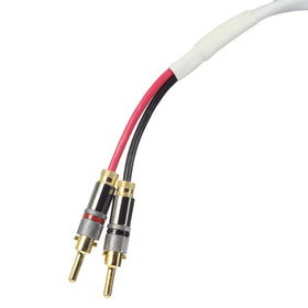 Blue Jeans Cable Ten White Speaker Cable with welded terminations, close-up for secure connections.