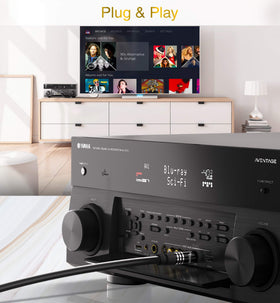 BlueRigger connected between TV and soundbar for clear digital audio