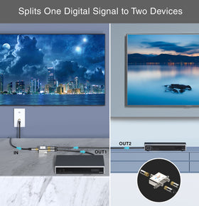 BlueRigger HDTV signal distribution enabling reliable multi-tv viewing.