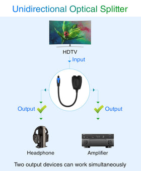 BlueRigger supports Dolby Digital Plus and LPCM for versatile audio.