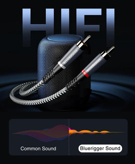 BlueRigger wide device compatibility with 3.5mm and RCA inputs