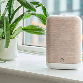 Pulse Flex connected via BluOS WiFi streaming and Bluetooth for flexible playback.