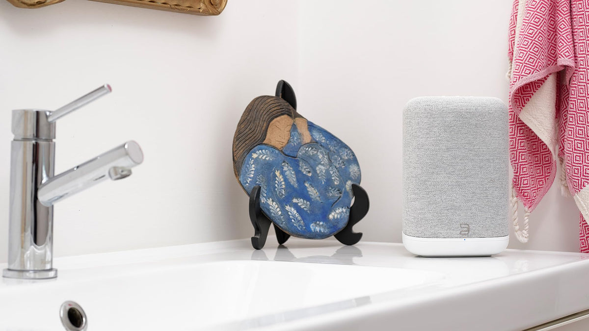 Bluesound Pulse Flex connection ports with Wi-Fi, Ethernet, AirPlay 2, and Bluetooth.