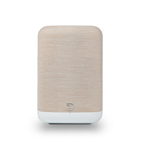 Bluesound Pulse Flex front view showing a compact hi-res speaker on a shelf.
