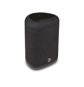 Bluesound Pulse Flex top panel with quick presets for easy favorites.