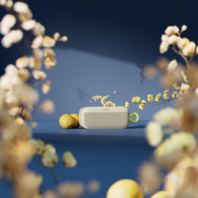 Bose SoundLink Plus offers up to 20 hours of playback on a single charge.