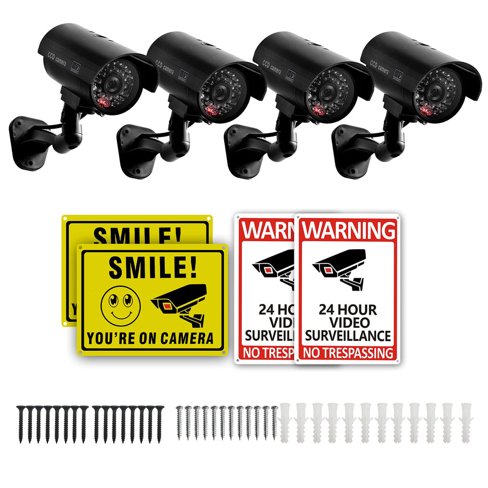 BOUTICOL front view of camera pair showing realistic deterrent and curb appeal