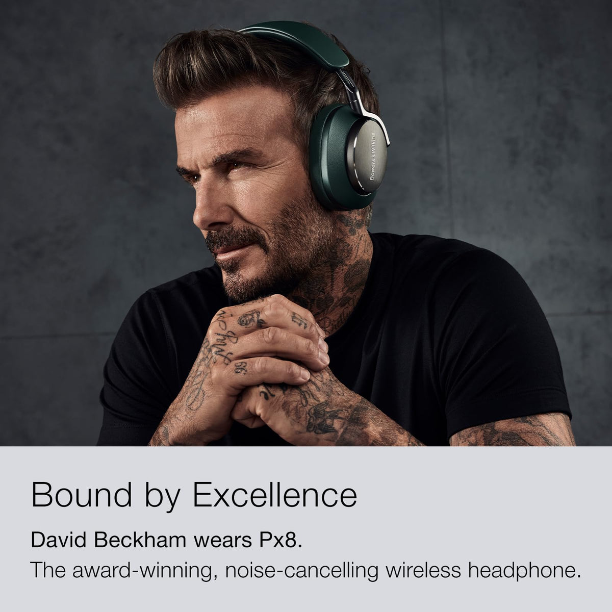 Px8 Dark Forest earcups reveal soft cushions and refined craftsmanship.