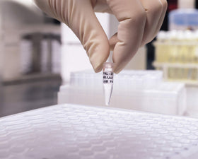 Compatible with BMP21-PLUS and BMP21-LAB printers for versatile labeling