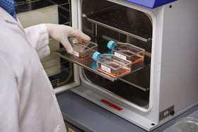 Brady Authentic M21-750-488 white-on-black label example for consistent lab documentation.