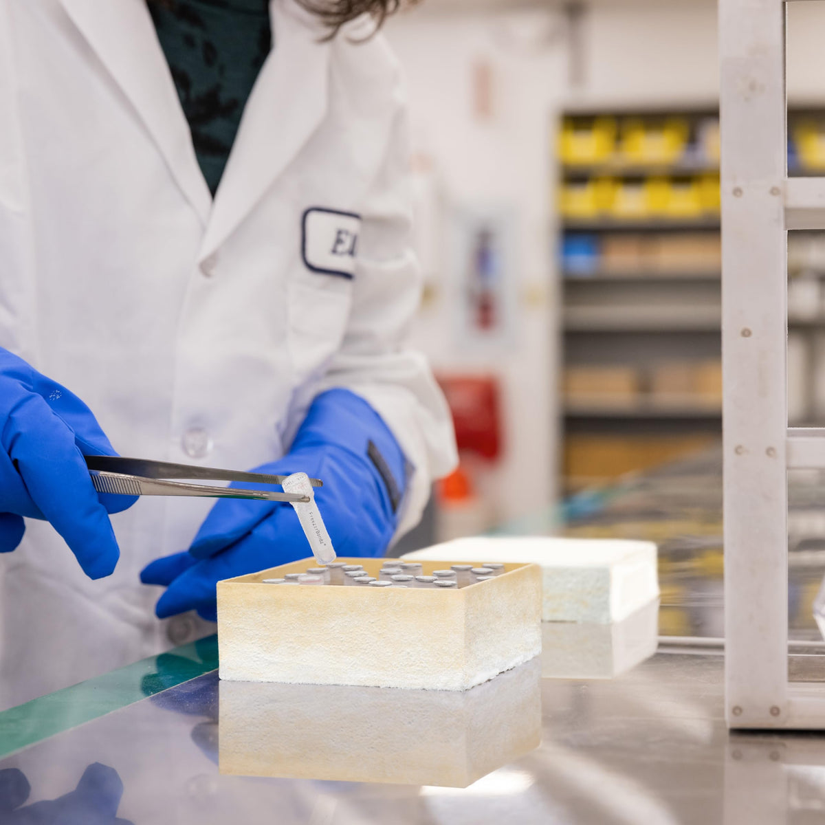Brady FreezerBondz cryogenic polyester label performs in liquid nitrogen storage.