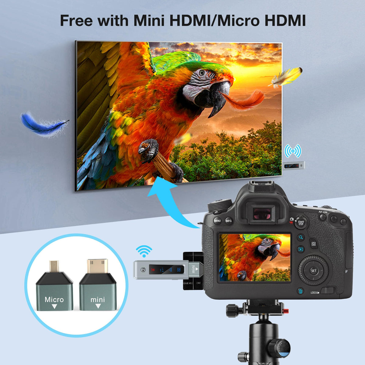 BRAIDOL smartphone-to-hdmi compatibility note, Type-C requirement for some devices.