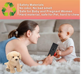 B BraiNice remote includes a 1-year warranty