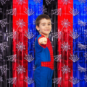 Bupelo spider web curtain doorway backdrop enhances photos.