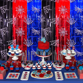 Bupelo spider web curtain photo booth backdrop for fun shots.