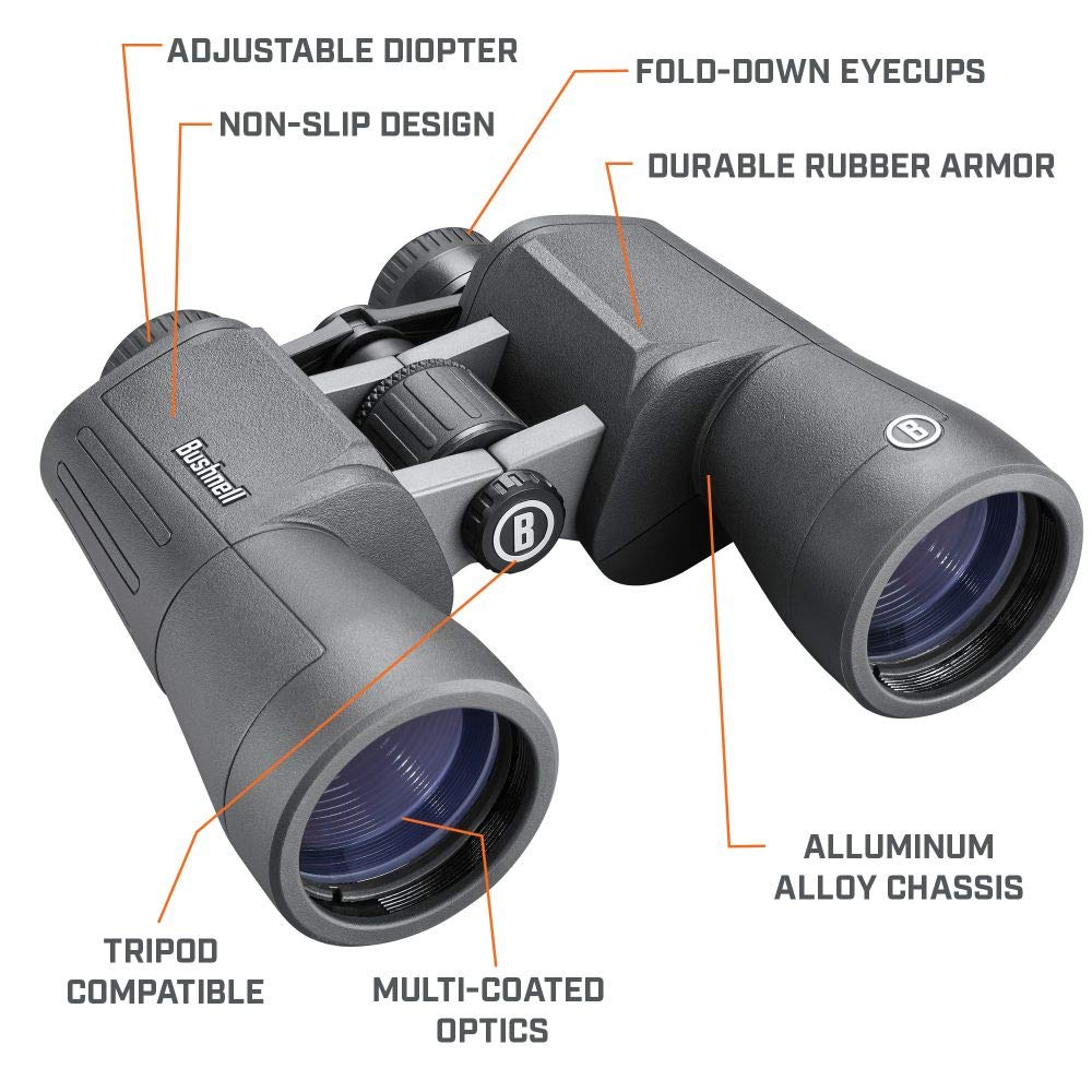 Bushnell PowerView 2 20x50 binoculars low-light clarity for dawn or dusk viewing