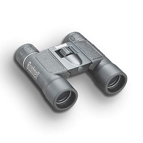 Bushnell Powerview at a concert demonstrating close-up viewing from far seats