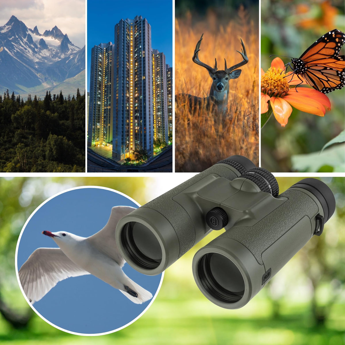 Bushnell R3 10x42 binoculars IPX7 waterproof protection in wet conditions