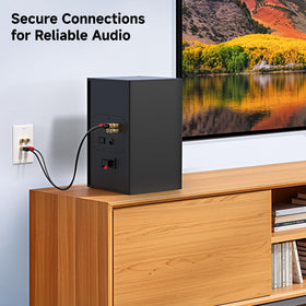 Cable Matters two-terminal wall plate fits standard outlets for tidy audio wiring.
