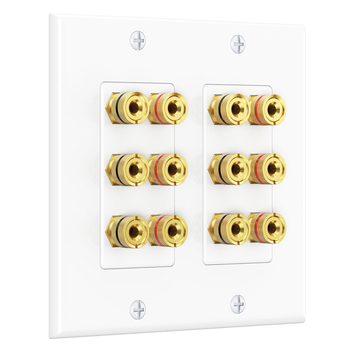 Cable Matters double gang wall plate front view enables clean wiring