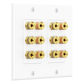 Cable Matters double gang wall plate front view enables clean wiring