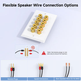 Two banana plug ports on Cable Matters wall plate for flexible connections.