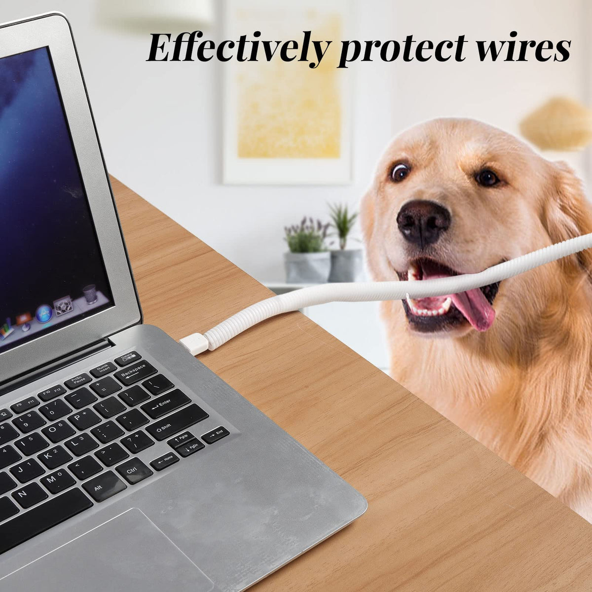 Cacovedo cord protector suitable for home, office and garden setups