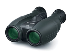 Canon 12x32 lens-shift stabilization demonstrates shake reduction for distant subjects.