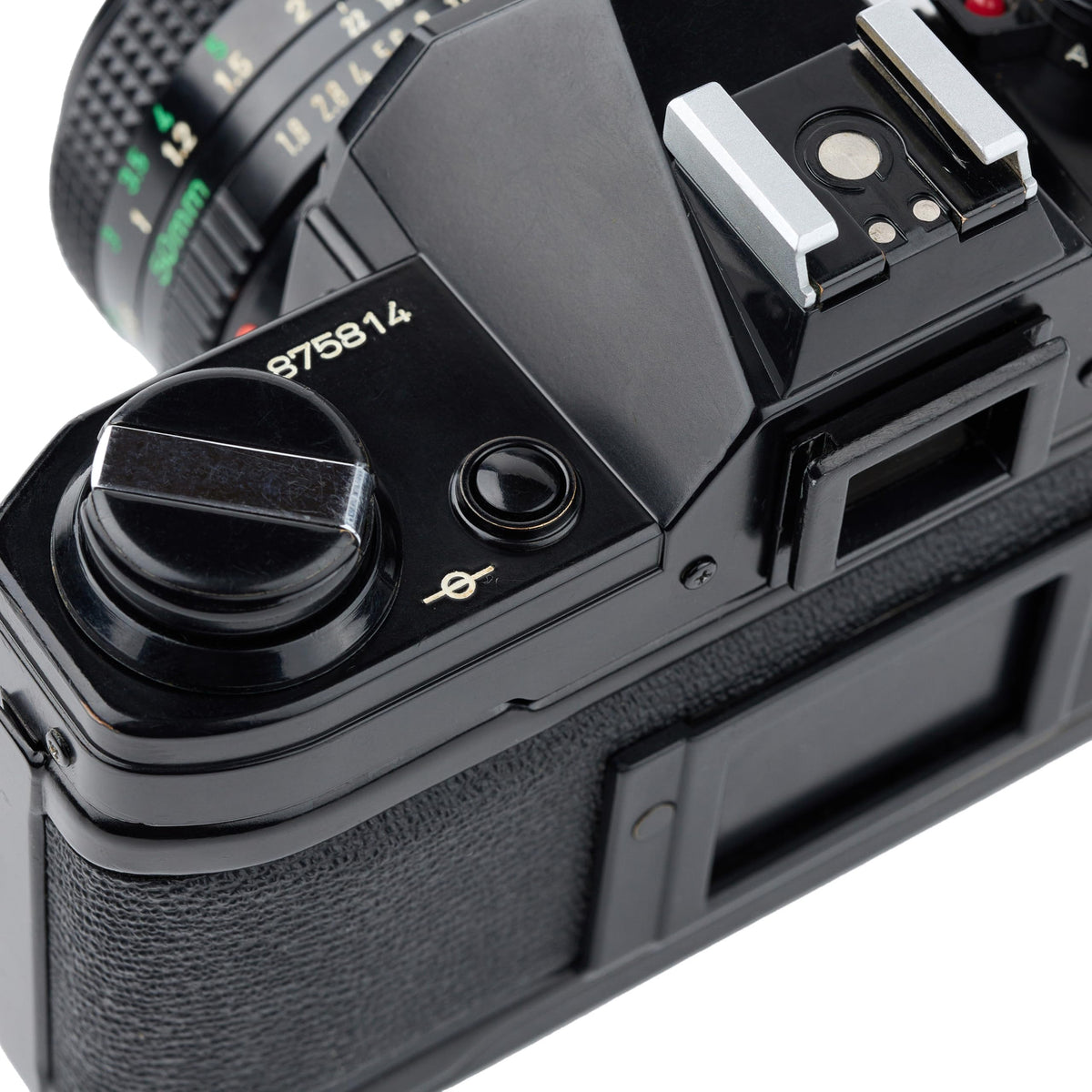 Canon AE-1 TTL metering—accurate readings for varied lighting.